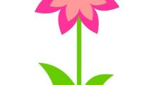 fiore primavera