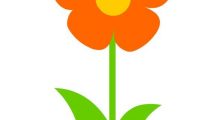 fiore primavera arancione