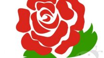 rosa rossa