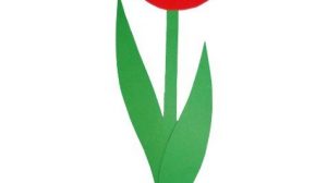 tulipano festa mamma 4