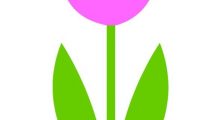 tulipano