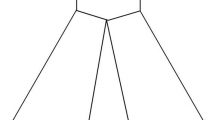 vestito 1