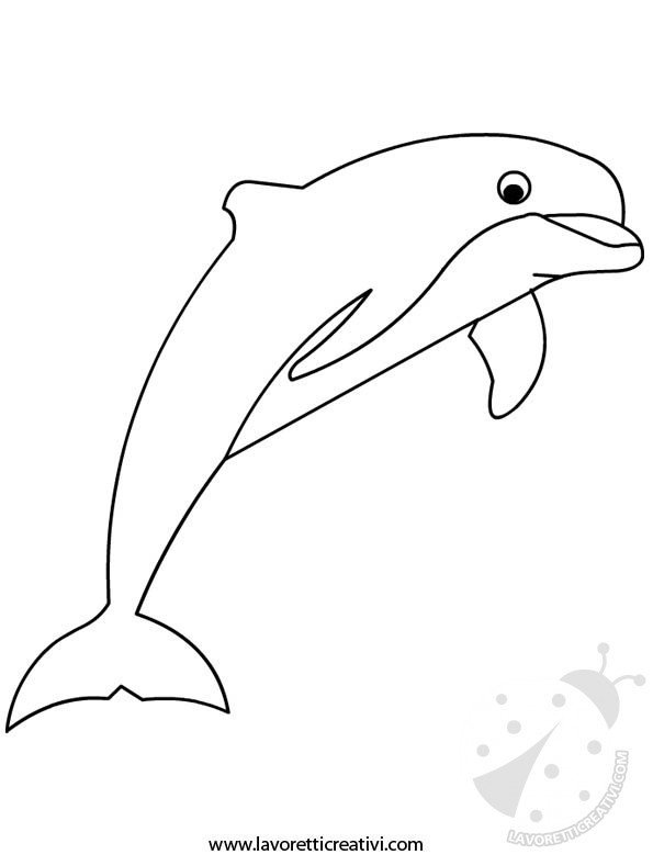 disegno delfino