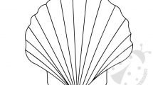 conchiglia 1
