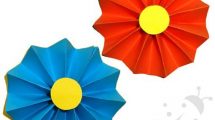 fiore fisarmonica 5