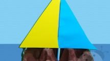 barca vela 3