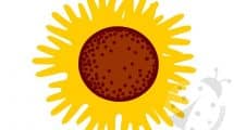 girasole mani