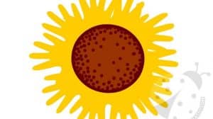girasole mani
