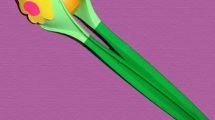 maracas lavoretti 4