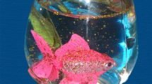 acquario pesce barattolo vetro 3