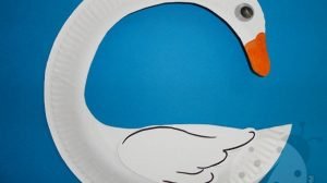 cigno piatto carta2