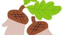 lavoretti autunno ghiande mani