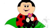 coccinella fiore