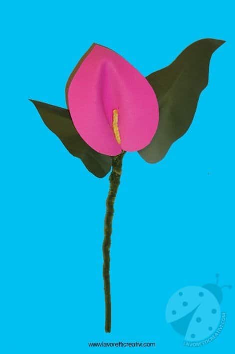 calla-lavoretti-6