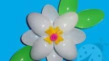 fiori cucchiai plastica5
