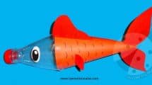 pesce bottiglia plastica5