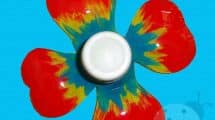 fiore bottiglia plastica