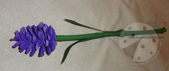 fiore-pigna-3