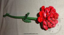 rosa pigna 4