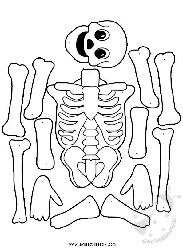 scheletro-carta