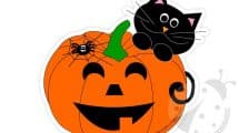 zucca gatto decorazione
