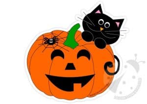 Zucca con gatto nero