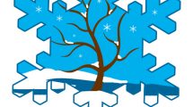 fiocco neve paesaggio 1