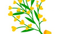 ramoscello mimosa 8 marzo