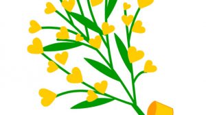 ramoscello mimosa 8 marzo