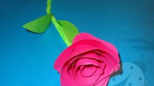 rosa carta fai da te7