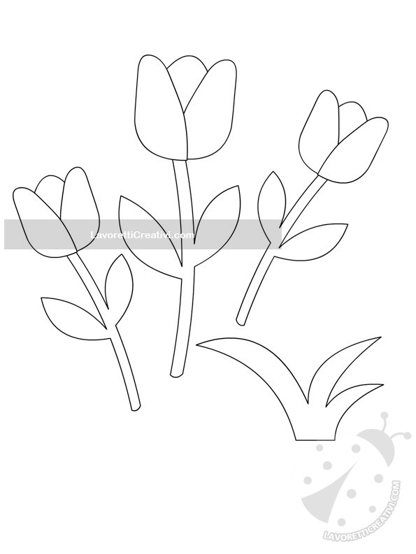 sagome tulipani