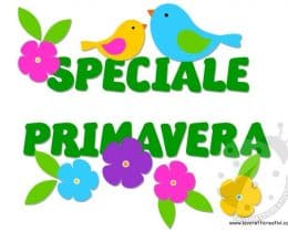 speciale primavera