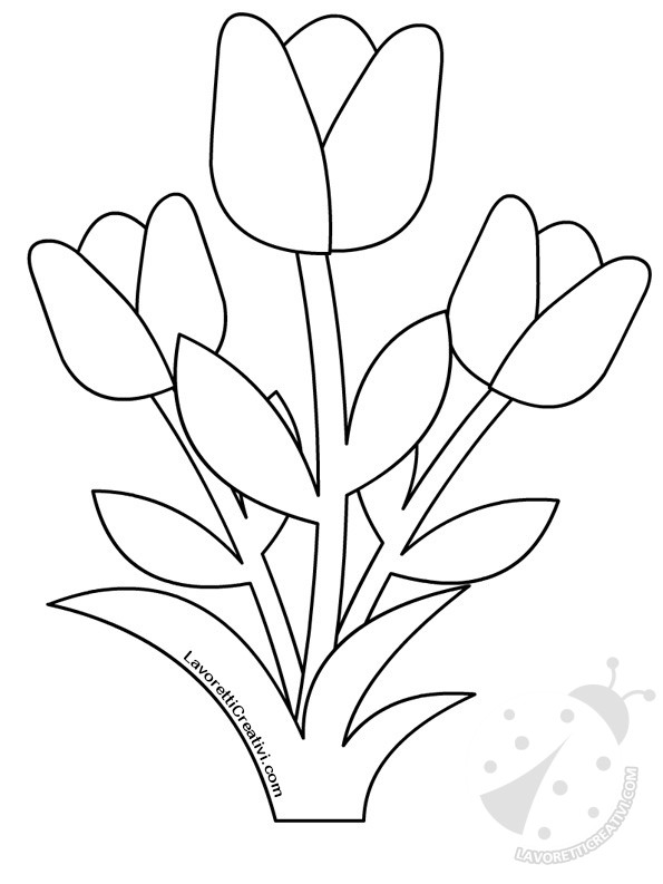 tulipani disegno