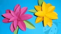 fiori carta di carta