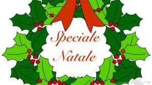 speciale lavoretti natale