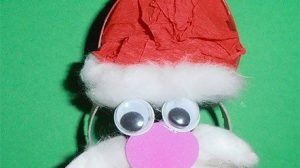 viso babbo natale rotoli carta igienica