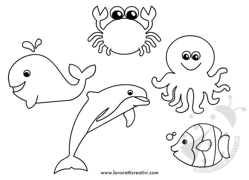 animali mare disegni