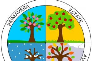 ruota stagioni2