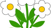 sagoma fiori3