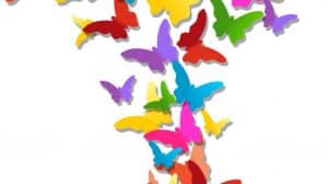 farfalle arcobaleno