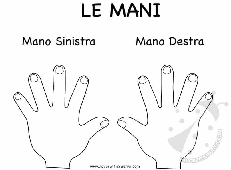 Riconoscere la mano sinistra dalla destra - Lavoretti Creativi