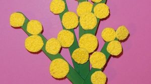 mimosa bastoncini gelato8