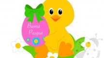 auguri pasqua pulcino