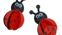 coccunelle 3d 7