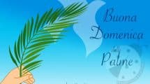 immagine domenica palme