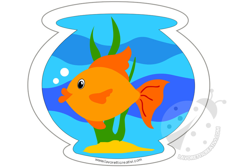 immagine acquario pesce 1 1