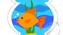 immagine acquario pesce 1