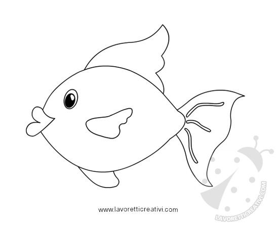 immagine acquario pesce 5 1