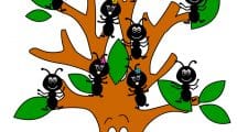 benvenuti sezione formiche