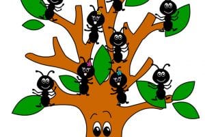 benvenuti sezione formiche
